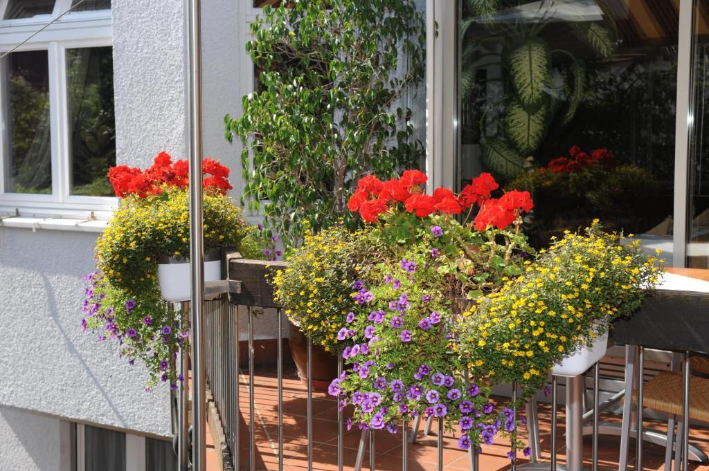 Hotel Ortel Gmbh Besigheim Buitenkant foto